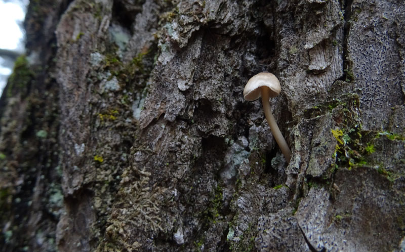 giovani e vecchi.....da determinare